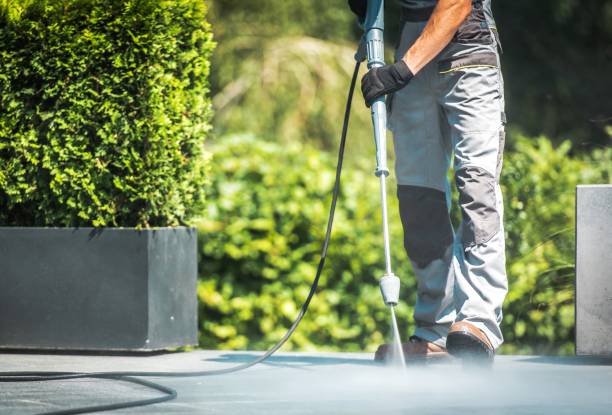 Best Animal Enclosure Cleaning  in Dallas, GA